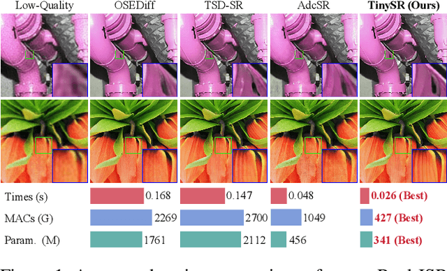 Figure 1 for TinySR: Pruning Diffusion for Real-World Image Super-Resolution