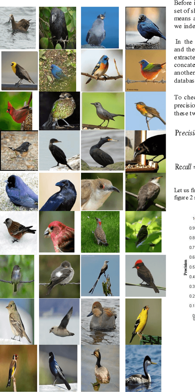 Content-Based Bird Retrieval using Shape context, Color moments and Bag ...